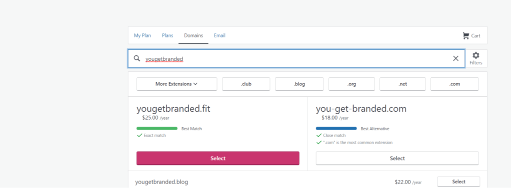How to register a domain name for your blog: selecting a name of your choice.